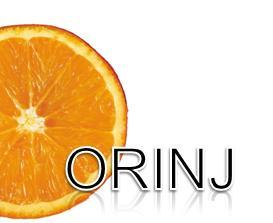 Orinj е многопистов софтуер за запис и смесване с редактиране на уейв и MIDI